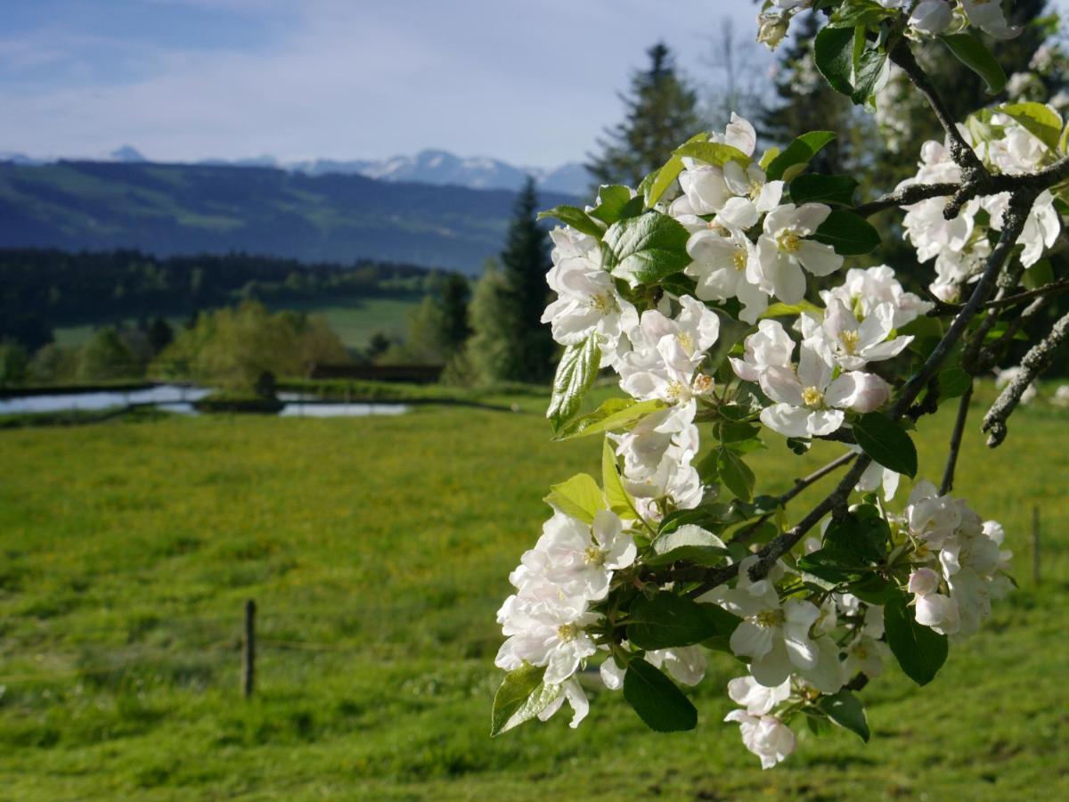 Hotel Post - Regionales Grosses Fruehstuecksbuffet - Auch Gf & Lf Scheidegg Luaran gambar